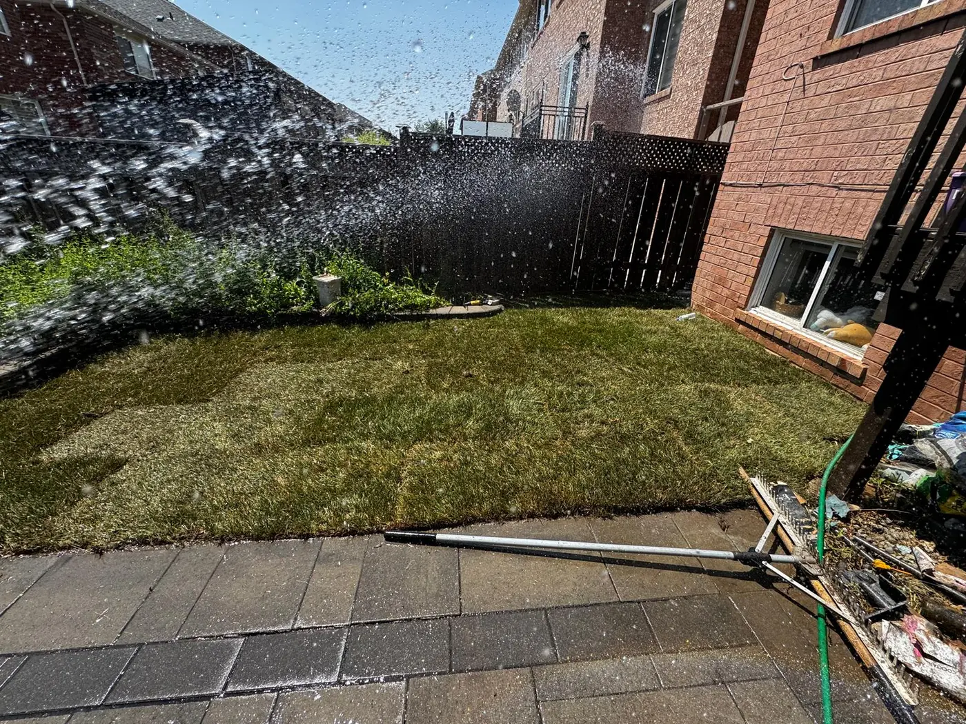 Completed sod installation project